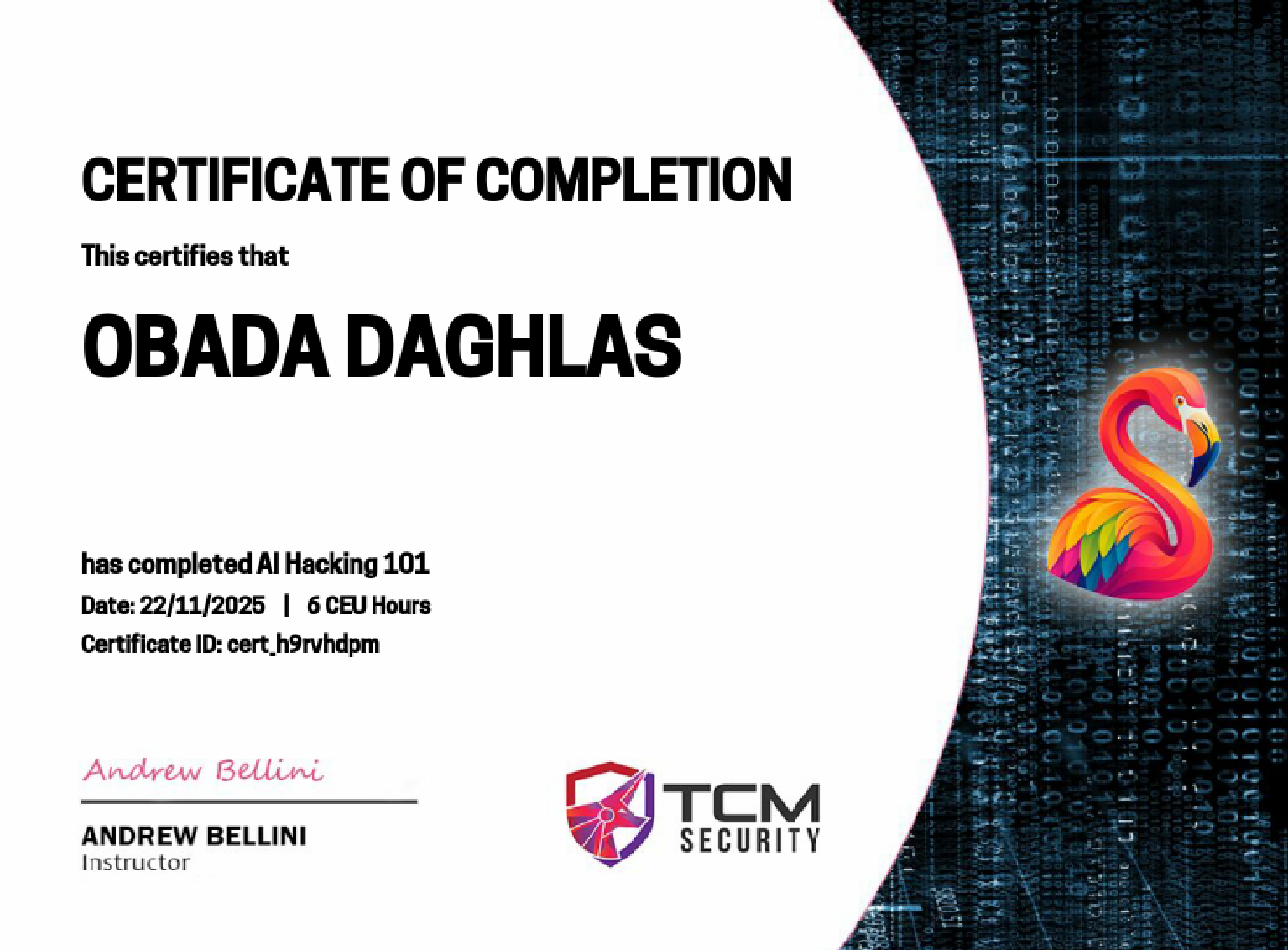 AI Hacking 101 Certificate